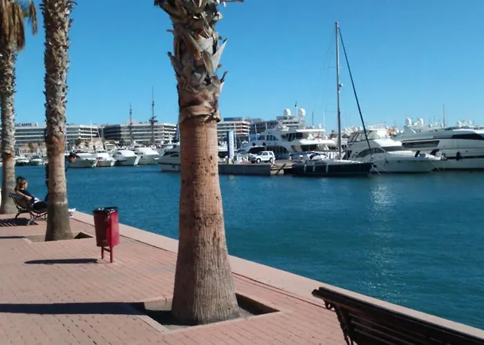 En El Centro De * Alicante